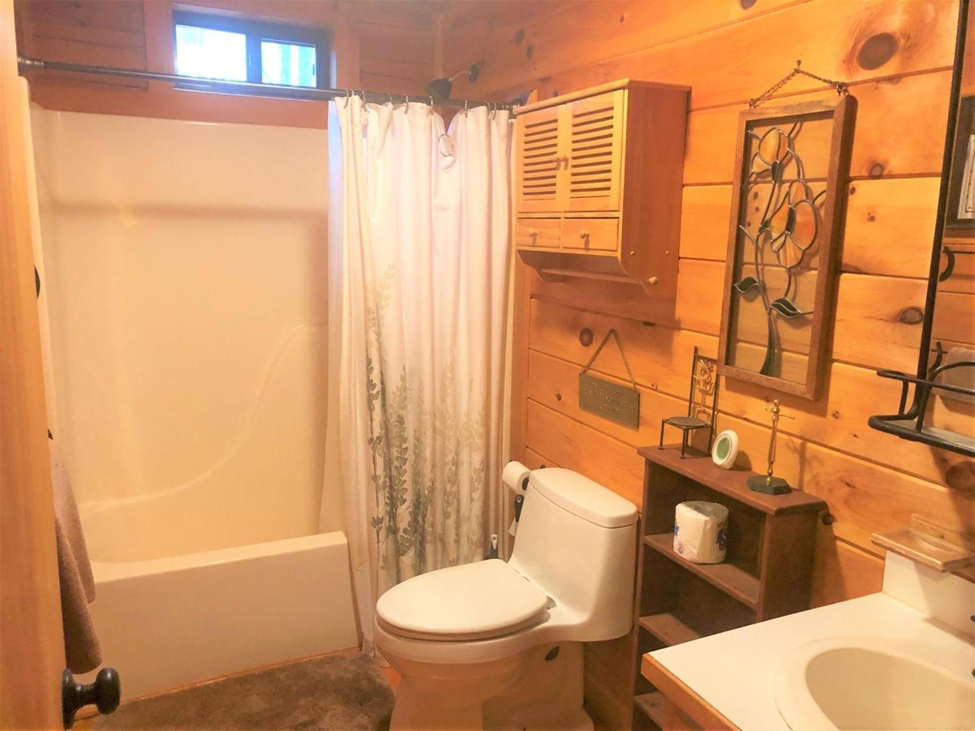 Little Bushy Head- Blue Ridge Villa Luaran gambar